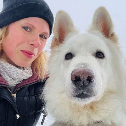 Hundeauslaufgebiet-dogdays.academy-Bild