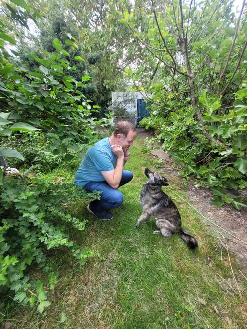 Hundeauslaufgebiet-Angsthund Trainer-Bild