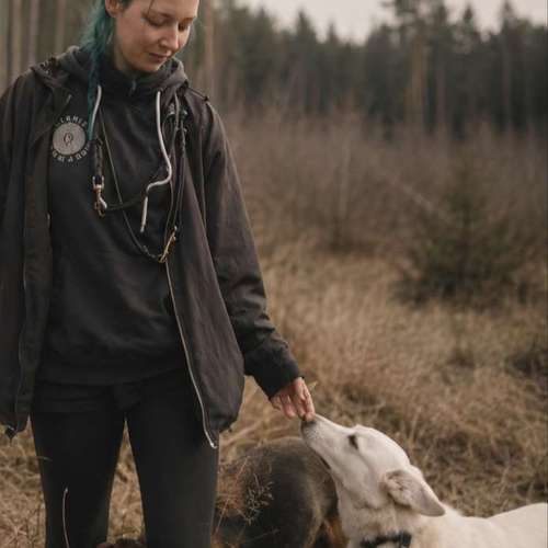 Hundeauslaufgebiet-Wiesenpfoten-Bild