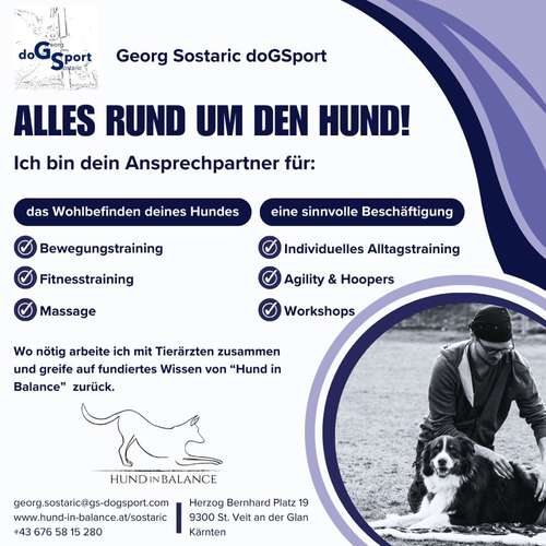 Hundeauslaufgebiet-Georg Sostaric doGSport-Bild