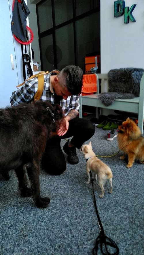 Hundeauslaufgebiet-VITELLI‘s TRAINIG & BETREUUNG V. HUNDEN-Bild