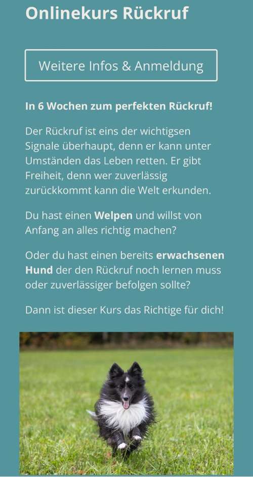 Hundeauslaufgebiet-Hundekompetenz.ch-Bild