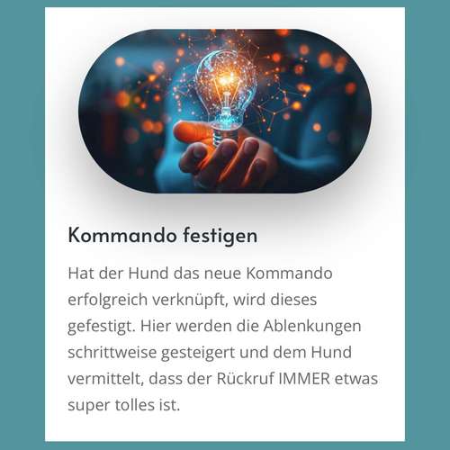 Hundeauslaufgebiet-Hundekompetenz.ch-Bild