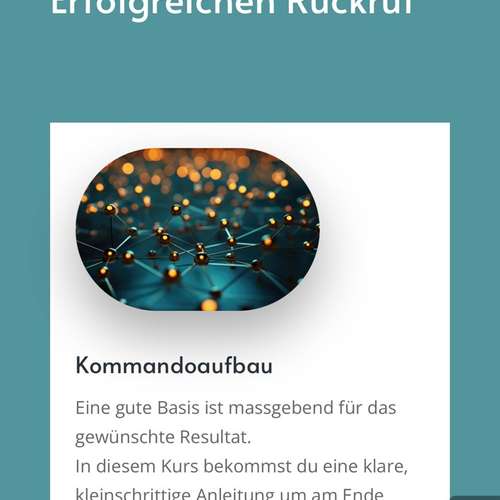 Hundeauslaufgebiet-Hundekompetenz.ch-Bild