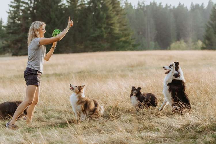 Hundeauslaufgebiet-Hundekompetenz.ch-Bild