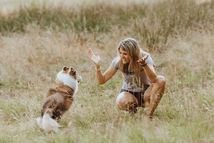 Hundeauslaufgebiet-Hundekompetenz.ch-Bild