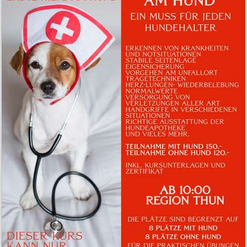 Hundeauslaufgebiet-Hundekompetenz.ch-Bild