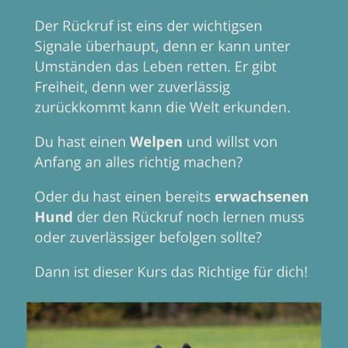 Hundeauslaufgebiet-Hundekompetenz.ch-Bild