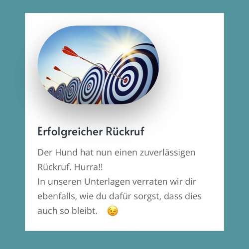 Hundeauslaufgebiet-Hundekompetenz.ch-Bild