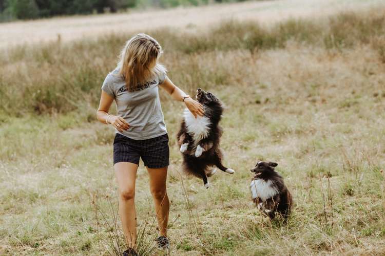 Hundeauslaufgebiet-Hundekompetenz.ch-Bild