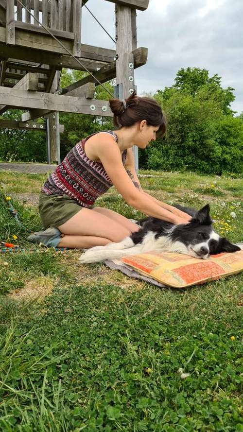 Hundeauslaufgebiet-Physiotherapie Tiersprung-Bild