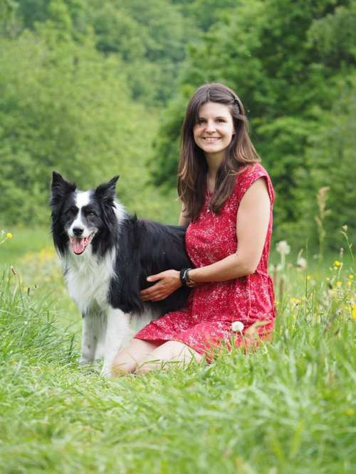 Hundeauslaufgebiet-Physiotherapie Tiersprung-Bild