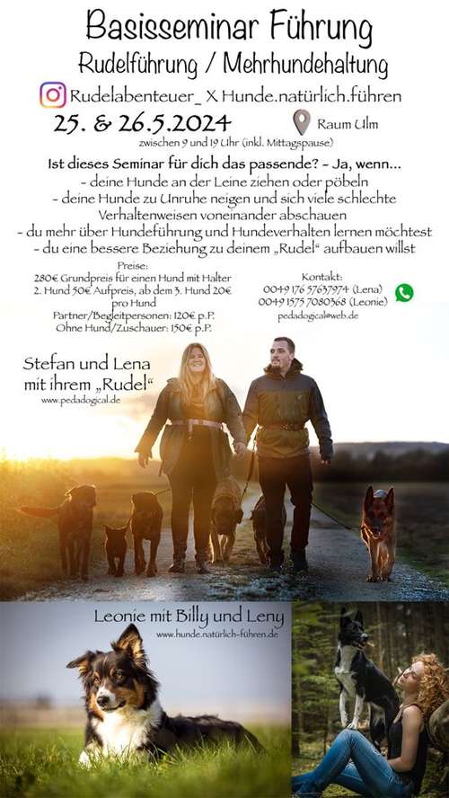 Hundeauslaufgebiet-PedaDOGical-Bild