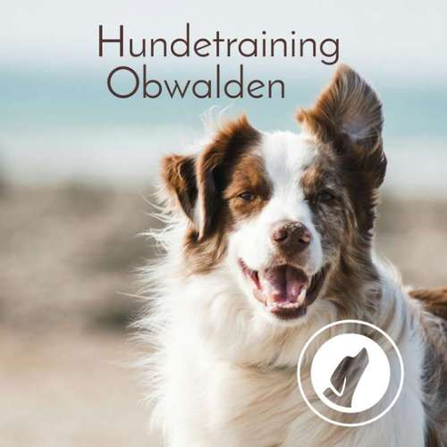 Hundeauslaufgebiet-Hundetraining Obwalden-Bild