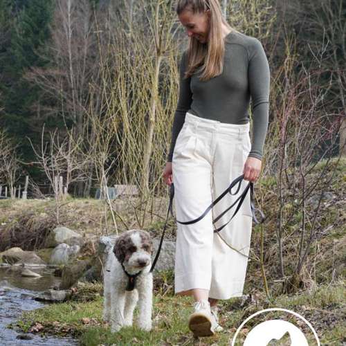 Hundeauslaufgebiet-Hundetraining Obwalden-Bild