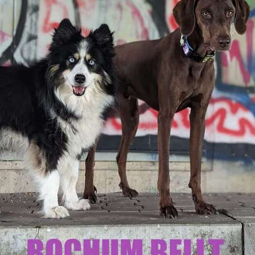 Hundeauslaufgebiet-Hundeschule Bochum bellt-Bild