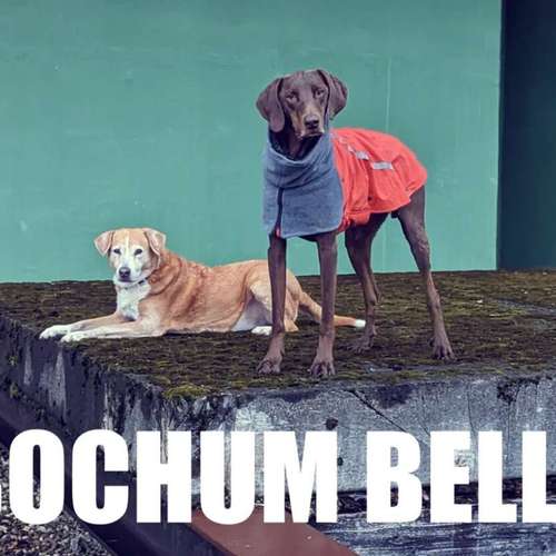 Hundeauslaufgebiet-Hundeschule Bochum bellt-Bild