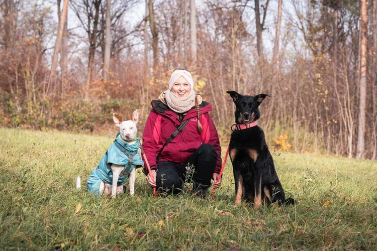 Hundeauslaufgebiet-Calwer Schnauzen-Bild