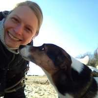 Hundeauslaufgebiet-Dogcircle Hundeschule Hamburg-West-Bild