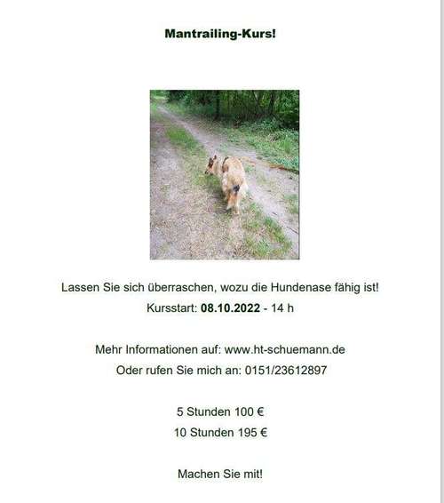 Hundeauslaufgebiet-Futterstüberl Pfotenglück-Bild