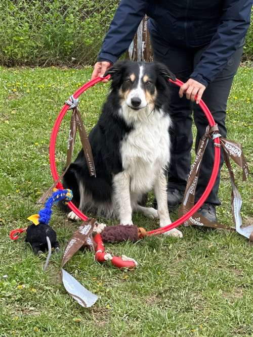 Hundeauslaufgebiet-clickerdogs.ch-Bild