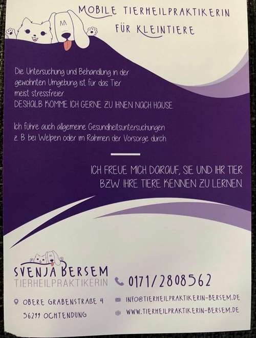 Hundeauslaufgebiet-Tierheilpraktikerin Bersem-Bild