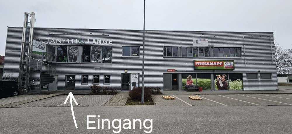 Hundeauslaufgebiet-Petras mobile Hundeschule -Bild