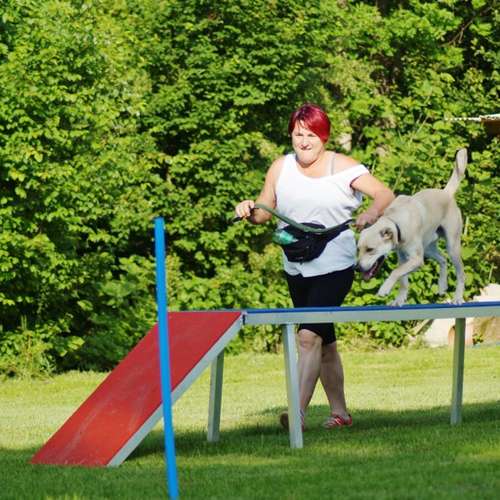 Hundeauslaufgebiet-Hundefreunde Wolfsberg-Bild