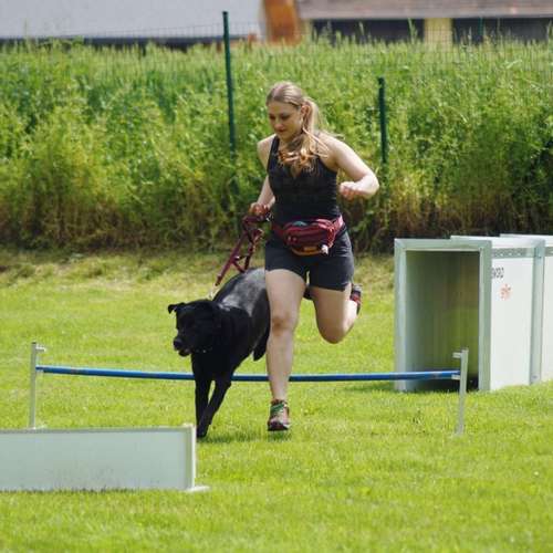 Hundeauslaufgebiet-Hundefreunde Wolfsberg-Bild