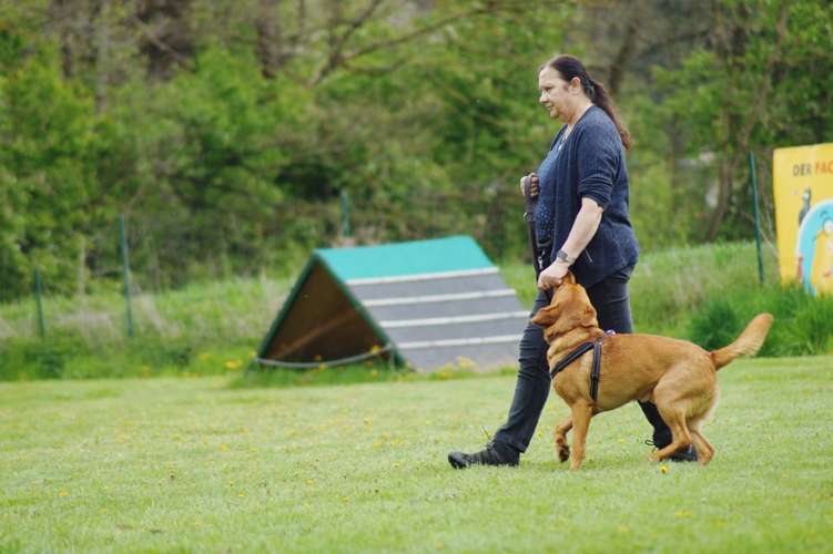 Hundeauslaufgebiet-Hundefreunde Wolfsberg-Bild