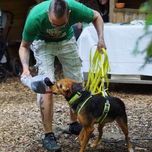 Hundeauslaufgebiet-Hundefreunde Wolfsberg-Bild