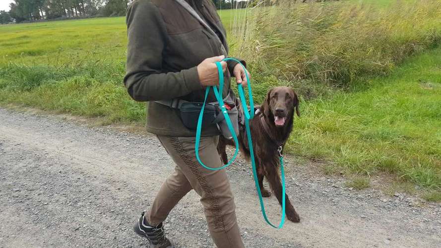 Hundeauslaufgebiet-Hundeservice Jakobi - Hundetraining & Gassi-Service -Bild