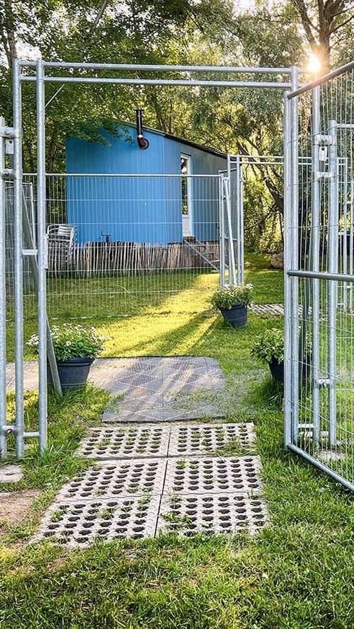 Hundeauslaufgebiet-Martin Rütter Hundeschule linkes Zürichseeufer / Zug-Bild