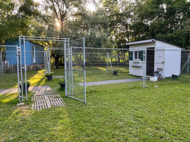 Hundeauslaufgebiet-Martin Rütter Hundeschule linkes Zürichseeufer / Zug-Bild