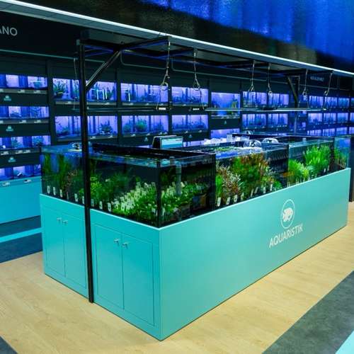 Hundeauslaufgebiet-ZooRoyal Norderstedt-Bild