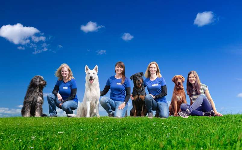 Hundeauslaufgebiet-Martin Rütter Hundeschule Heidelberg/Mosbach - Ramona Houscht-Bild