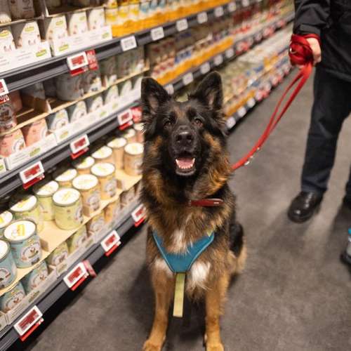 Hundeauslaufgebiet-Zooroyal Stellingen-Bild