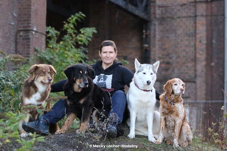 Hundeauslaufgebiet-Martin Rütter Hundeschule Dortmund / Lünen-Bild