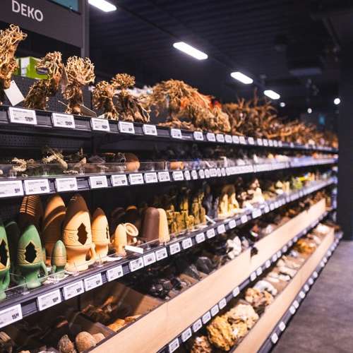 Hundeauslaufgebiet-Zooroyal Stellingen-Bild