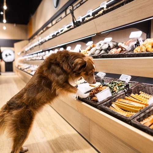 Hundeauslaufgebiet-Zooroyal Stellingen-Bild