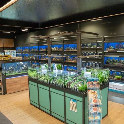 Hundeauslaufgebiet-ZooRoyal Elmshorn-Bild