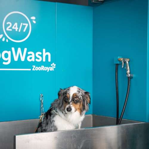 Hundeauslaufgebiet-ZooRoyal Elmshorn-Bild