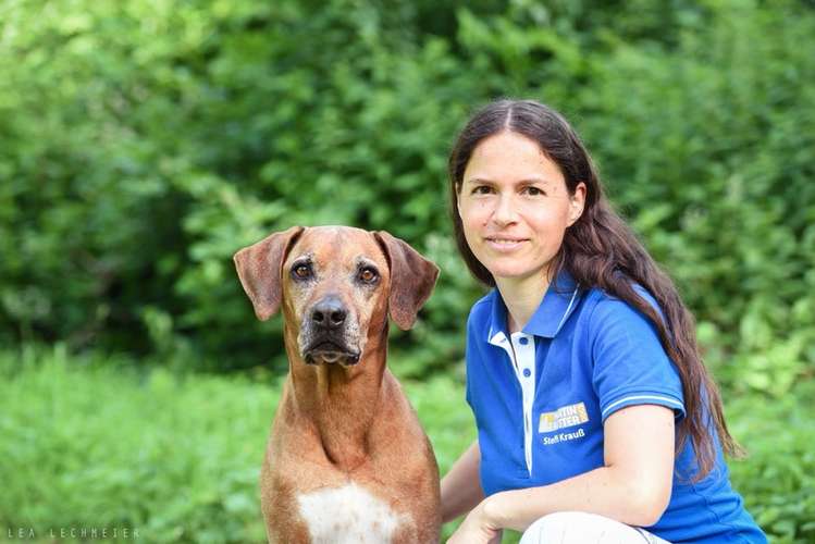 Hundeauslaufgebiet-Martin Rütter Hundeschule Fürstenfeldbruck/Starnberg - Steffi Krauß-Bild