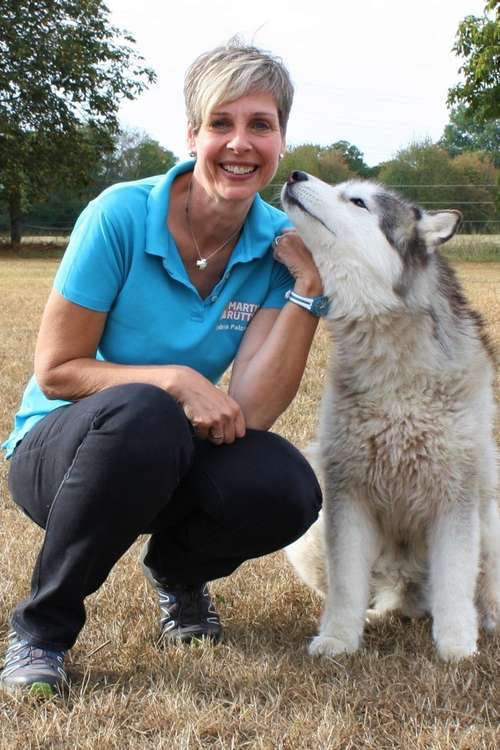 Hundeauslaufgebiet-Martin Rütter Hundeschule Moers - Andrea Palzer-Mack-Bild