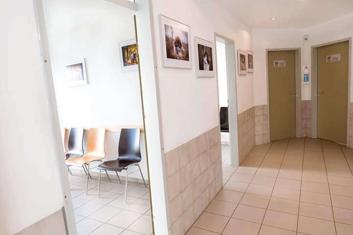 Hundeauslaufgebiet-Dr. Karsten Kempker-Bild