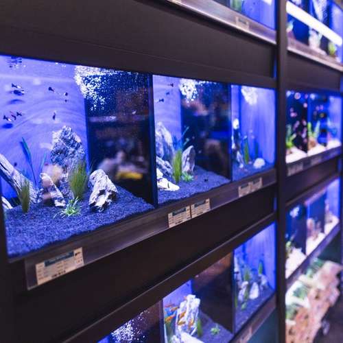 Hundeauslaufgebiet-Zooroyal Stellingen-Bild