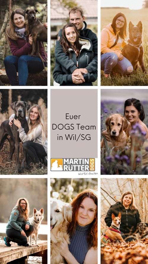 Hundeauslaufgebiet-Martin Rütter Hundeschule Wil/St.Gallen-Bild