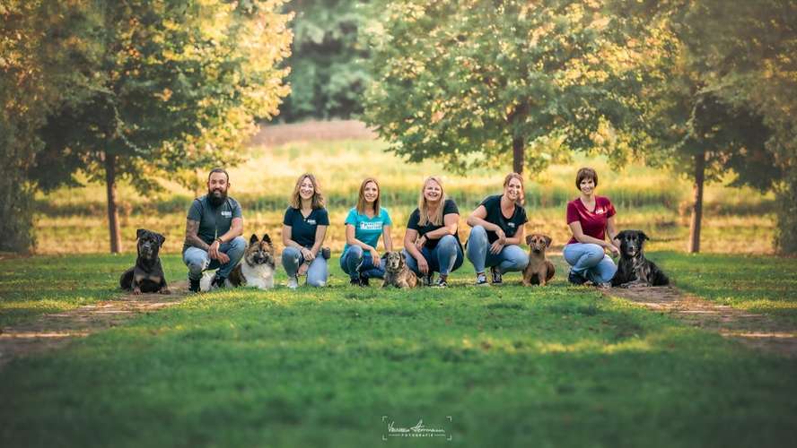 Hundeauslaufgebiet-Martin Rütter Hundeschule Würzburg/Main-Tauber-Kreis - Sophie Grethe-Bild