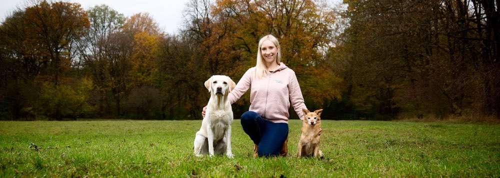 Hundeauslaufgebiet-Martin Rütter Hundeschule München/Freising - Laura Müller-Bild