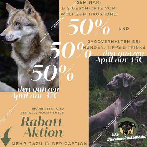 Hundeauslaufgebiet-Die Hundedolmetscherin Melina-Bild